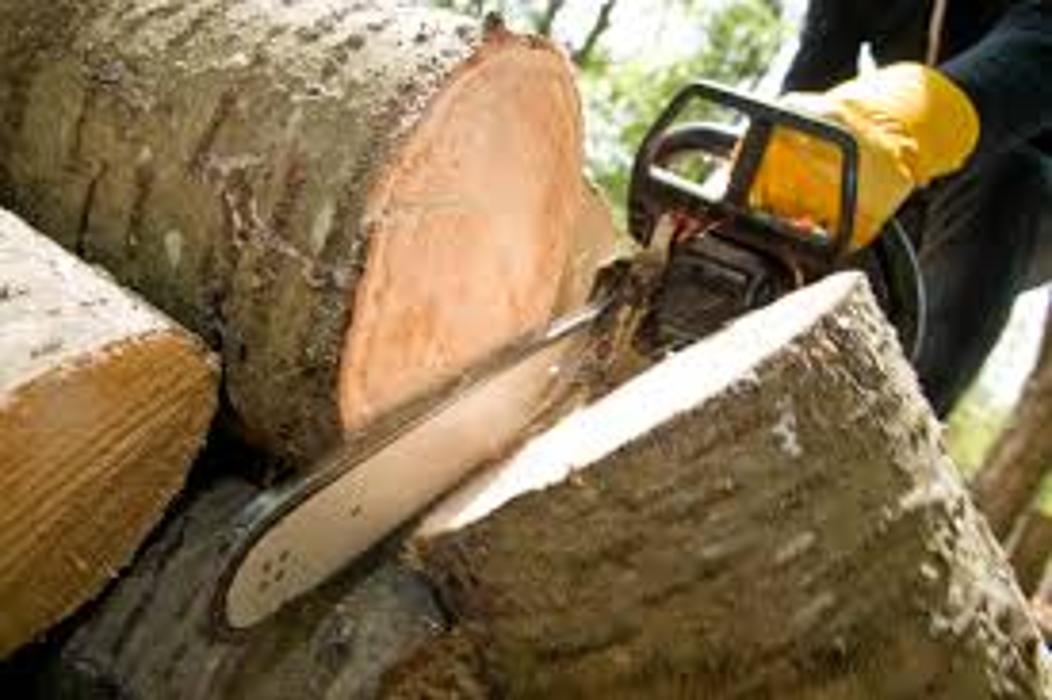 West Shore Tree Service LLC - West Haven, CT