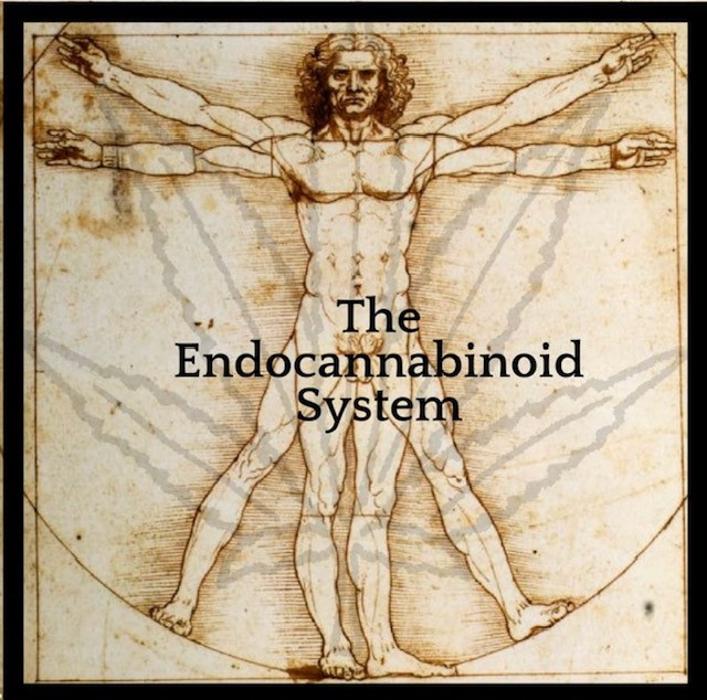 CLOSED - Traverse City Apothecary - Traverse City, MI