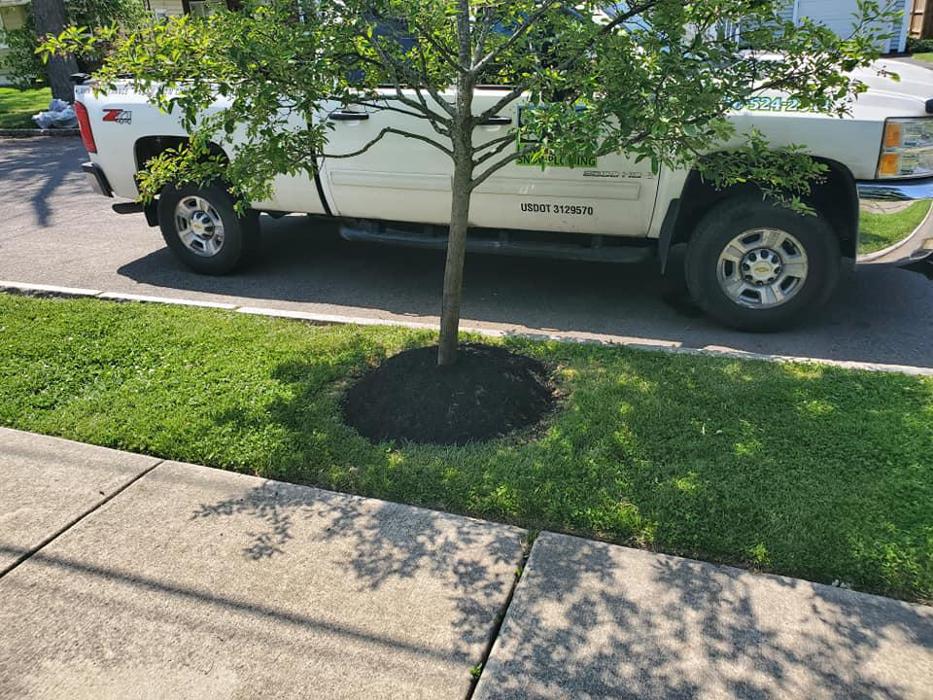 S & R Landscape and Snow Plowing - Niagara Falls, NY