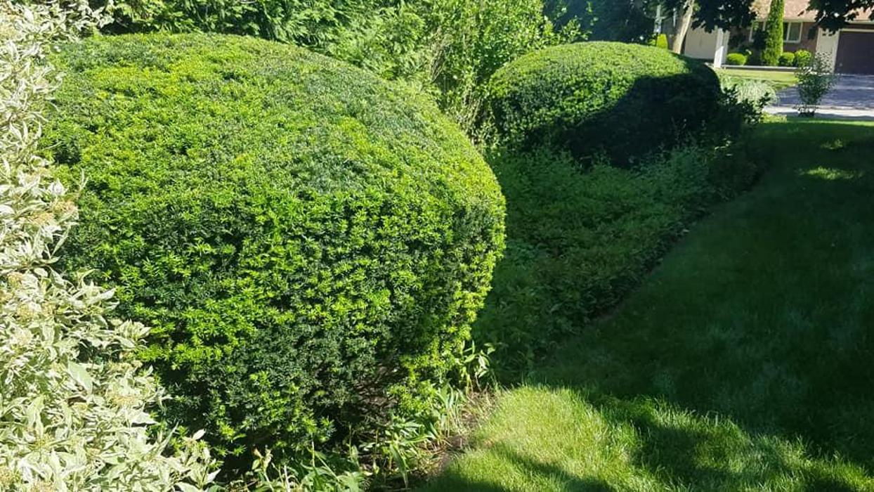 S & R Landscape and Snow Plowing - Niagara Falls, NY