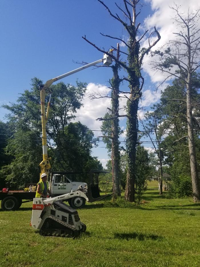 Battles Tree Service, LLC - Boaz, AL
