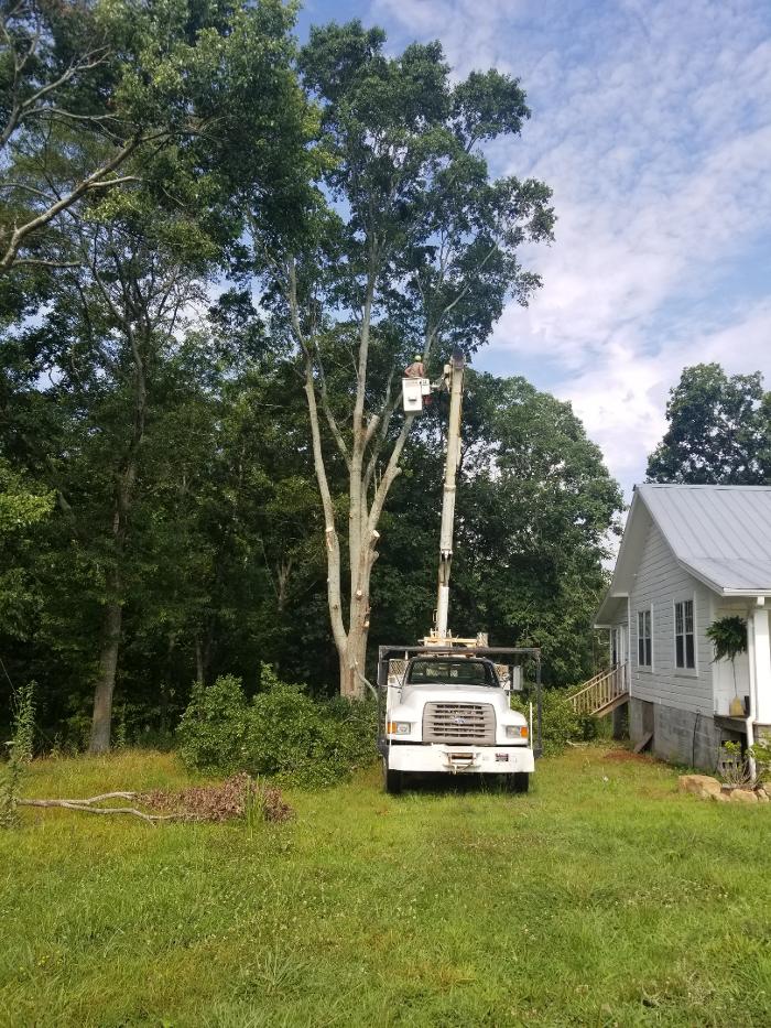 Battles Tree Service, LLC - Boaz, AL