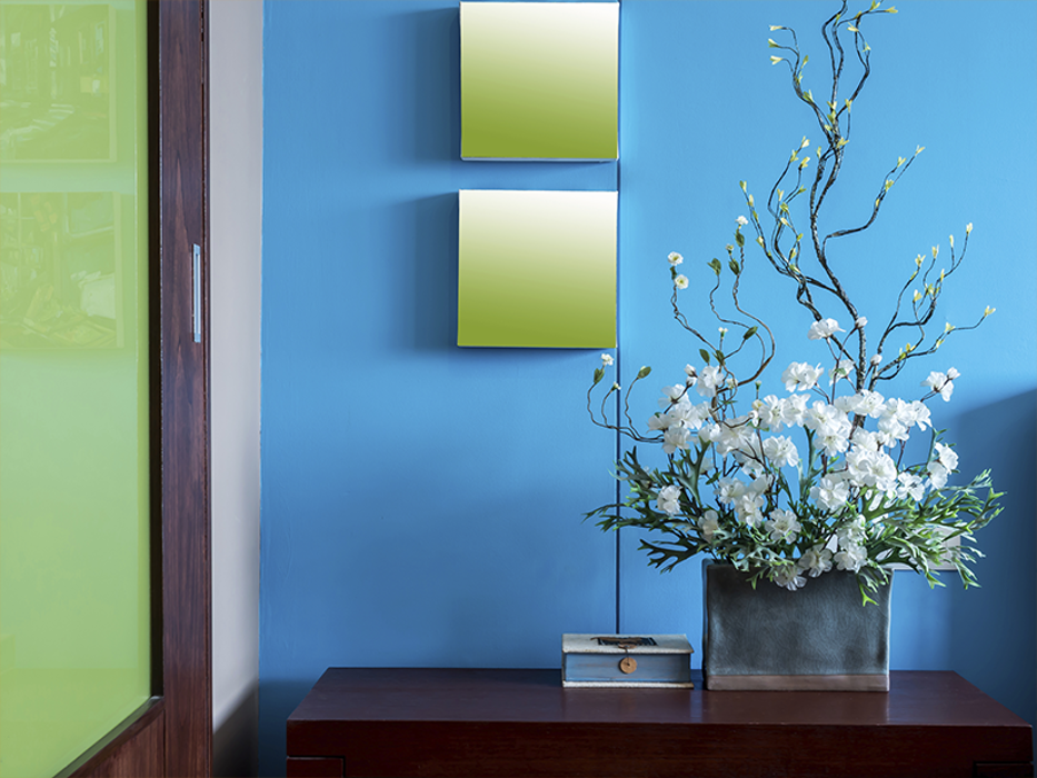 Blue Ribbon Painting & Decorating Inc. - Lombard, IL
