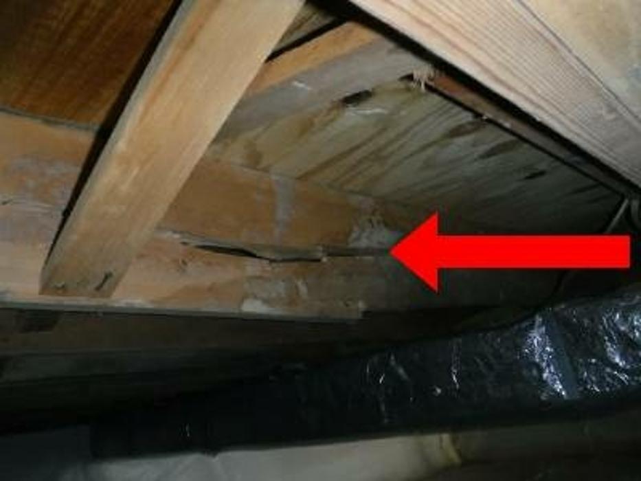 Brahman Home Inspections - Lorton, VA