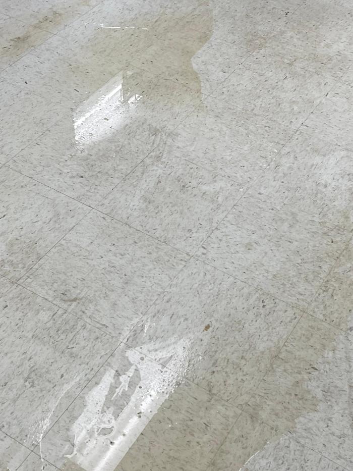 Dirt Be Gone Cleaning Concepts LLC - Florissant, MO