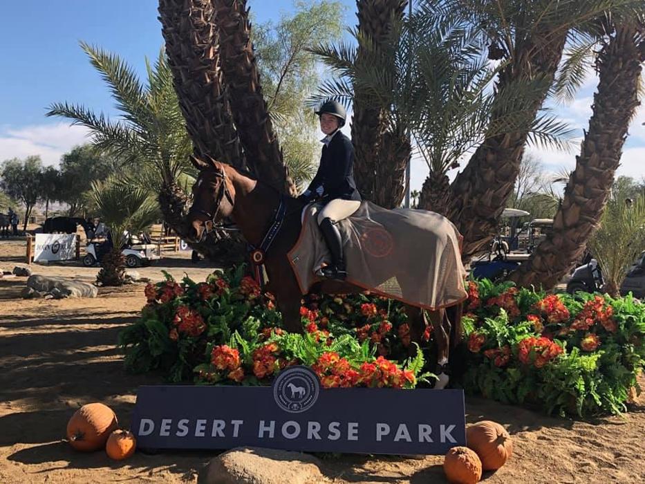 DVG Show Stables at Blue Fox Farm - Escondido, CA