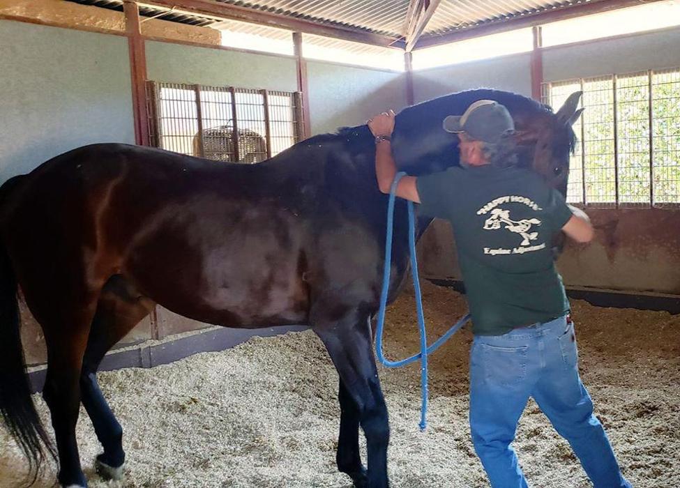 DVG Show Stables at Blue Fox Farm - Escondido, CA