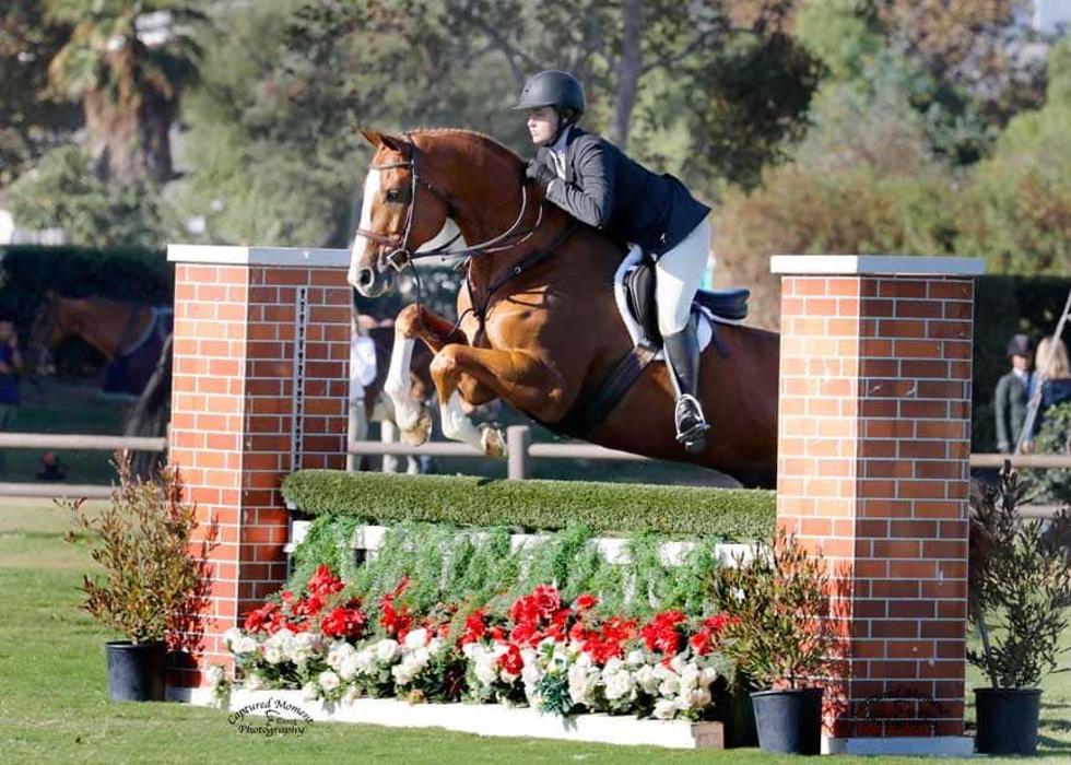 DVG Show Stables at Blue Fox Farm - Escondido, CA