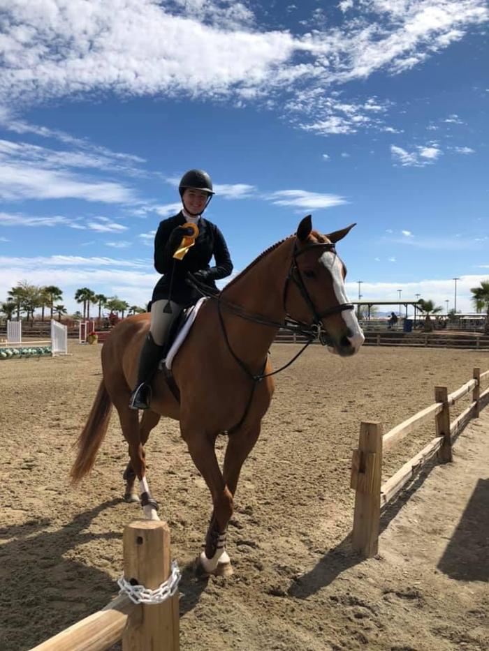 DVG Show Stables at Blue Fox Farm - Escondido, CA