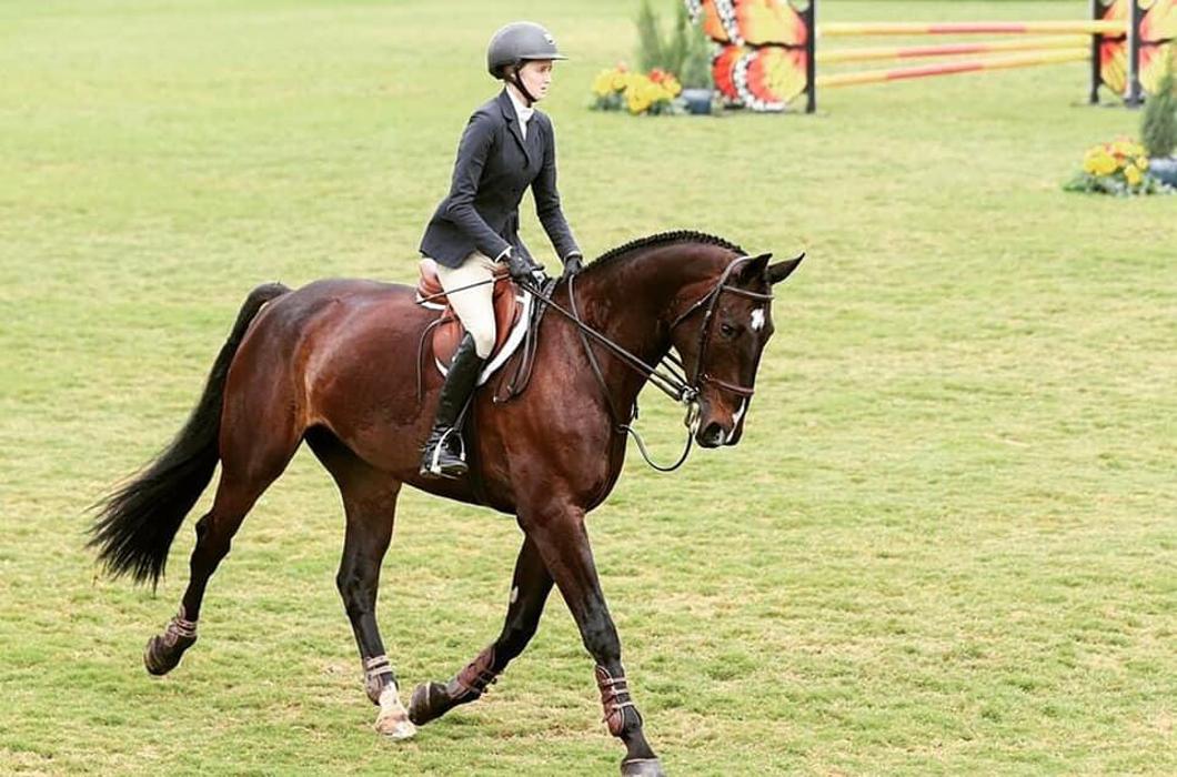 DVG Show Stables at Blue Fox Farm - Escondido, CA