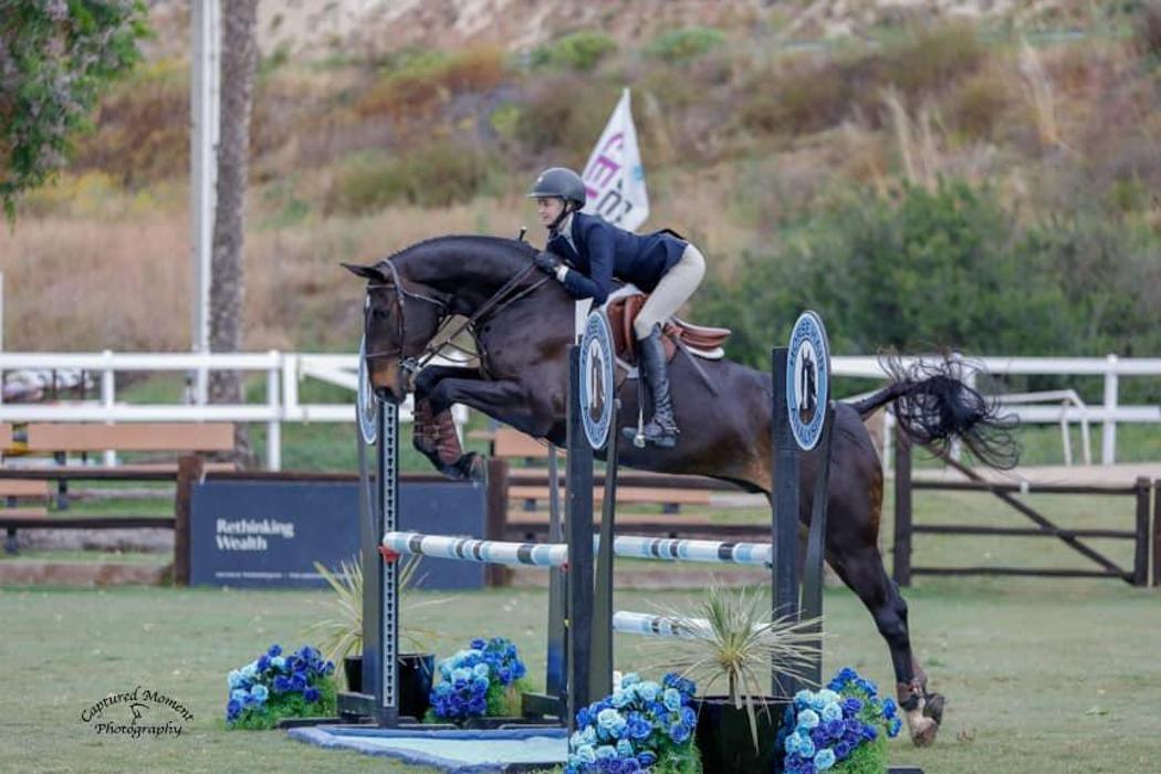DVG Show Stables at Blue Fox Farm - Escondido, CA