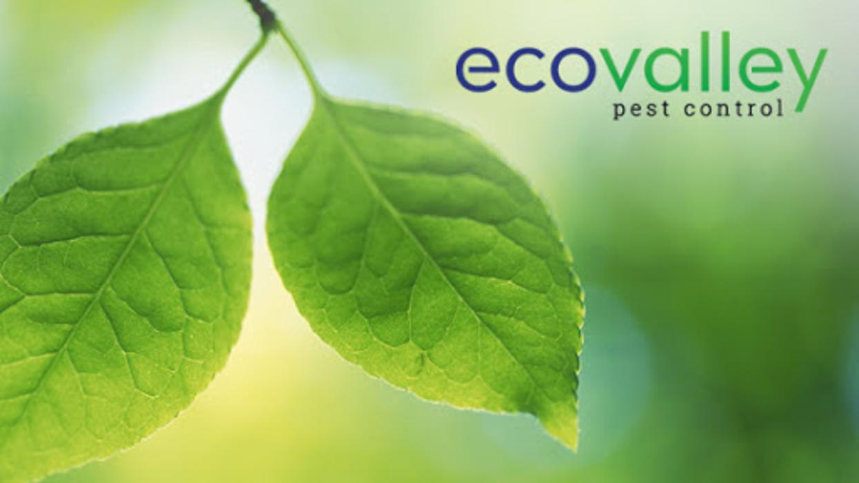EcoValley Pest Control - Tualatin, OR