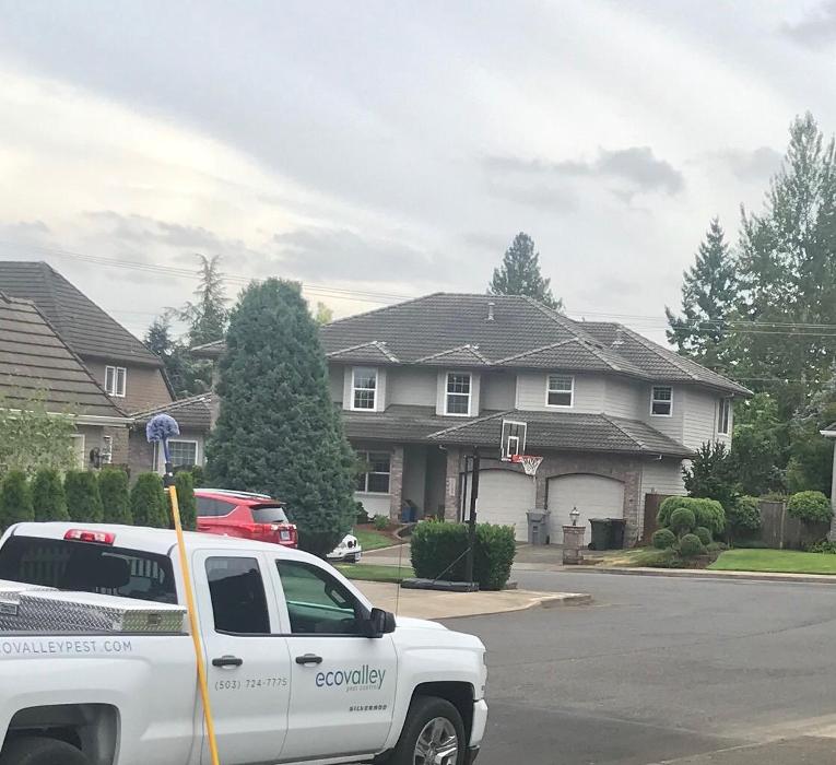 EcoValley Pest Control - Tualatin, OR