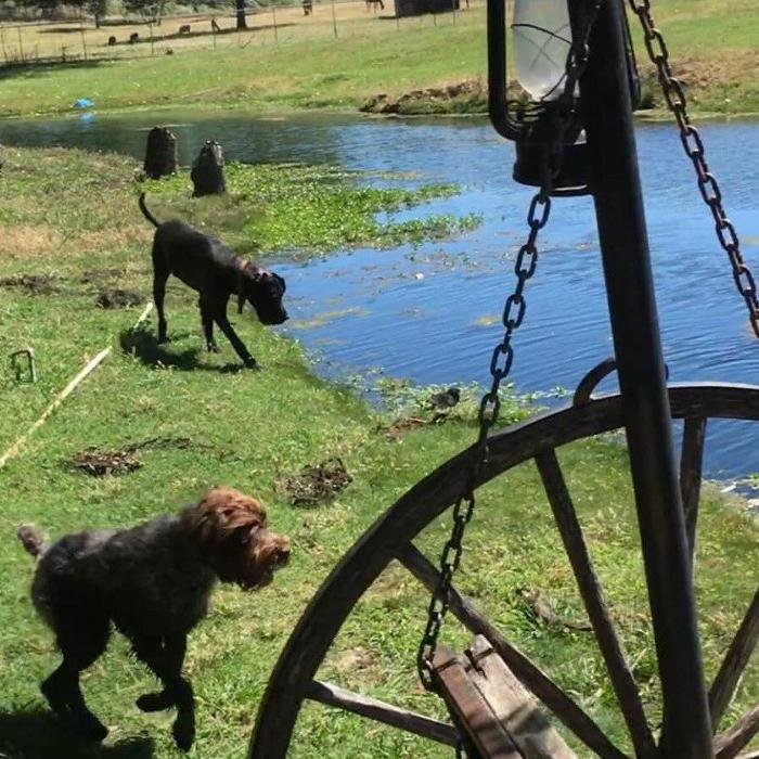 Fletcher Farms - Loomis, CA
