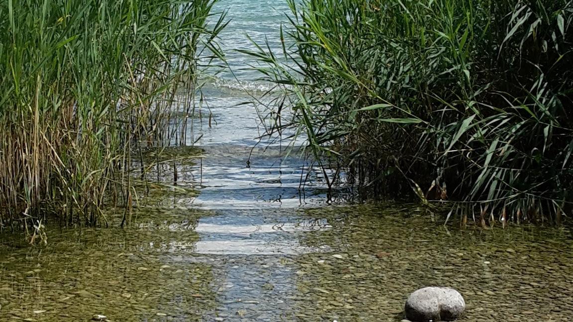 Coaching & Mediation Kerstin Gutbell, Im Brühl in Egelsbach