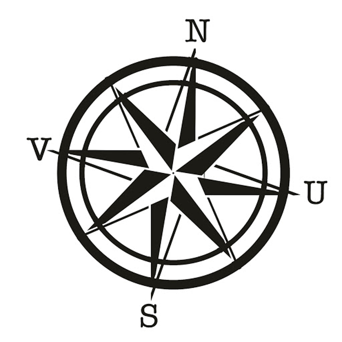 NVUS Websites - Everett, WA