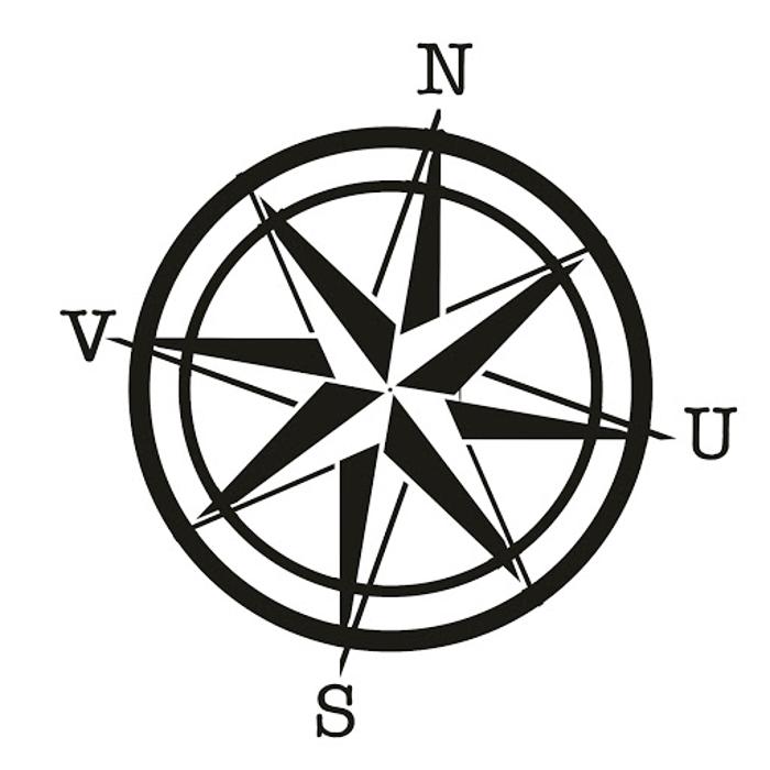 NVUS Websites - Everett, WA