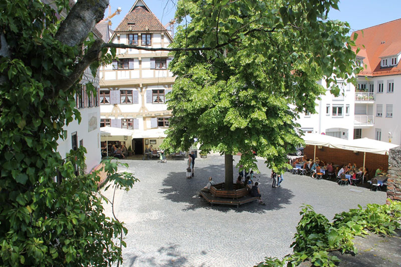 Galerie-Thumbnail