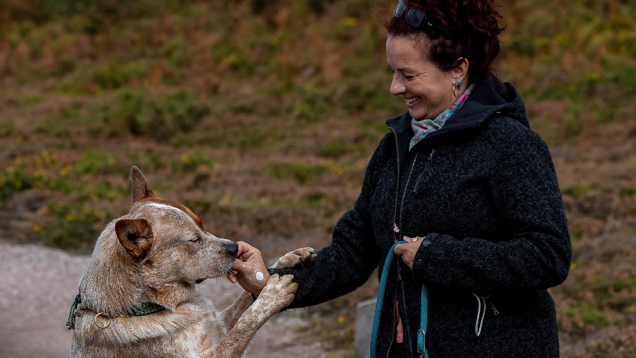 Jeanette Pacher Natur.Heil.Kraft. Mobile Tierheilpraxis in Rödermark