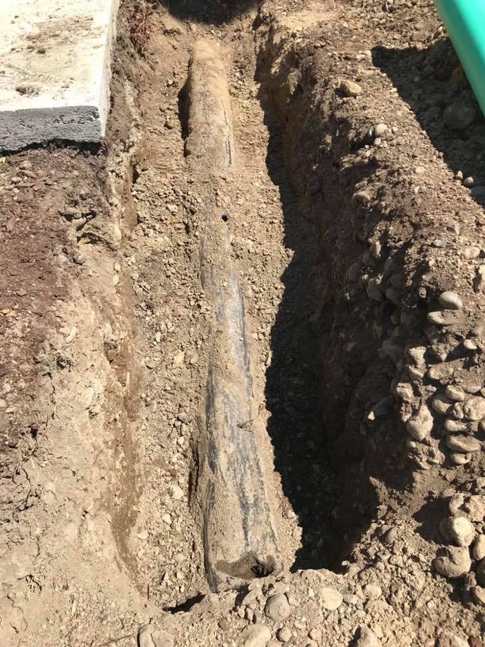 Alliance Septic & Repair, LLC - Spanaway, WA
