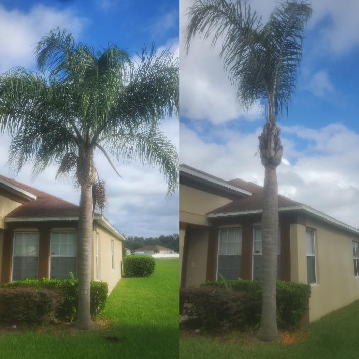 Triple TTT Outdoors - Geneva, FL