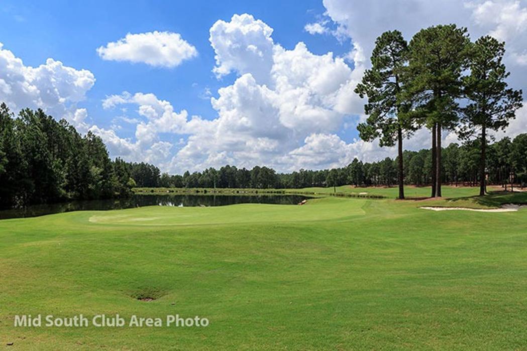 CLOSED - Eagle Point Cottages at Mid South Club, an Epcon Community - Southern Pines, NC