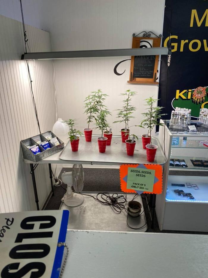 Kiowa Wellness Center - Altus, OK