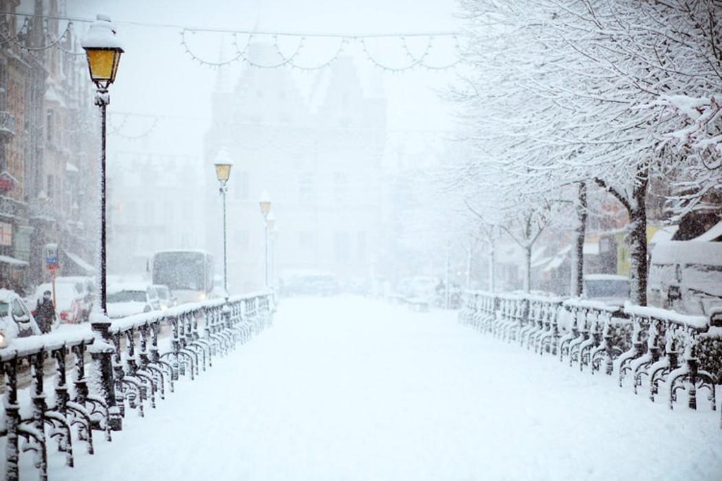 Safety Snow & Lawn - Minneapolis, MN