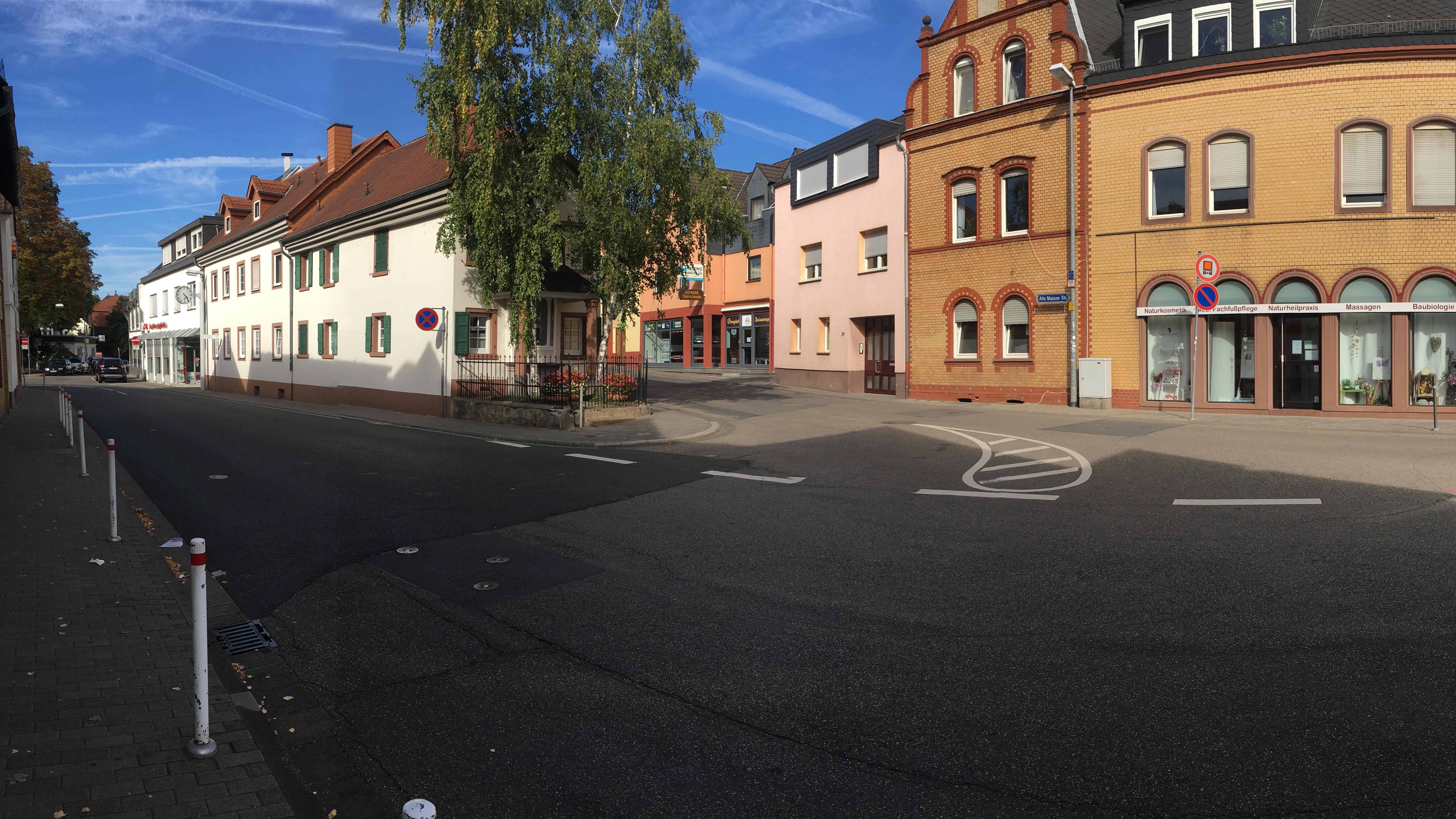 Sanadios Ganzheitliche Naturheilpraxis GbR, Alte Mainzer Straße in Mainz