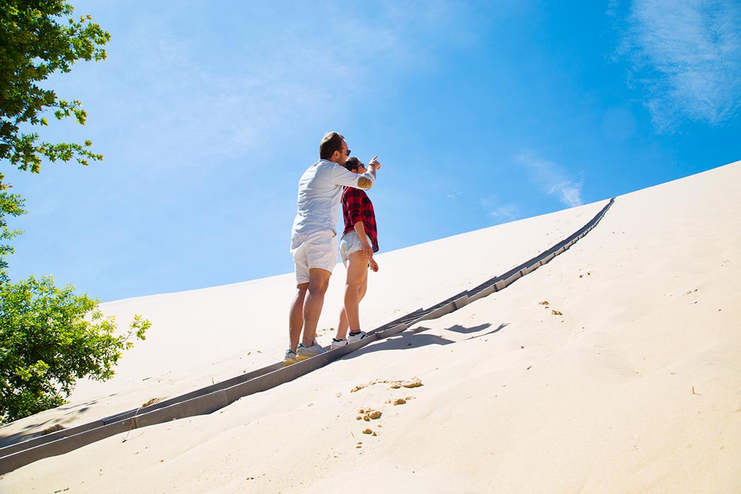 Miniature de la galerie