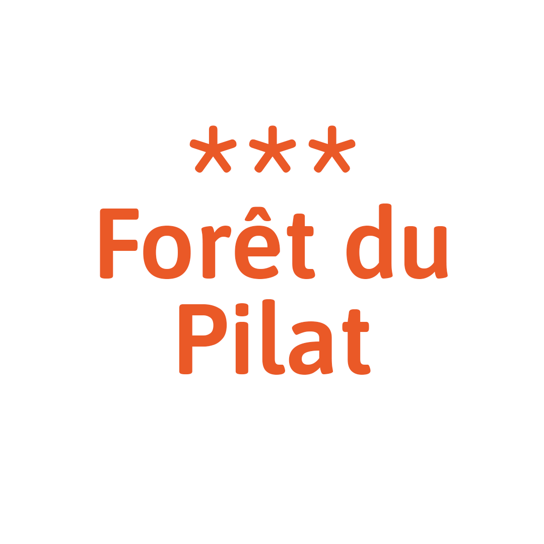 Camping La Forêt du Pilat Tohapi Camping municipal