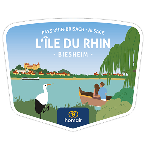 Camping Homair - L'Ile du Rhin piscine (établissement)