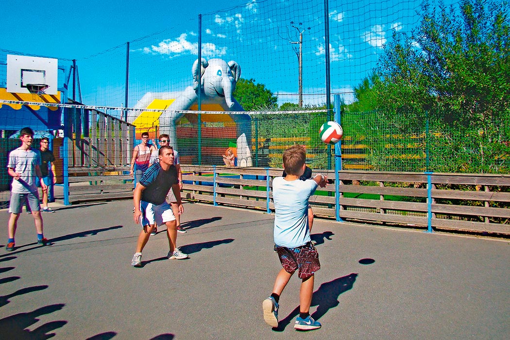 Miniature de la galerie