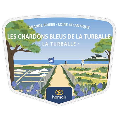 Camping Homair - Les Chardons Bleus de la Turballe Hébergement