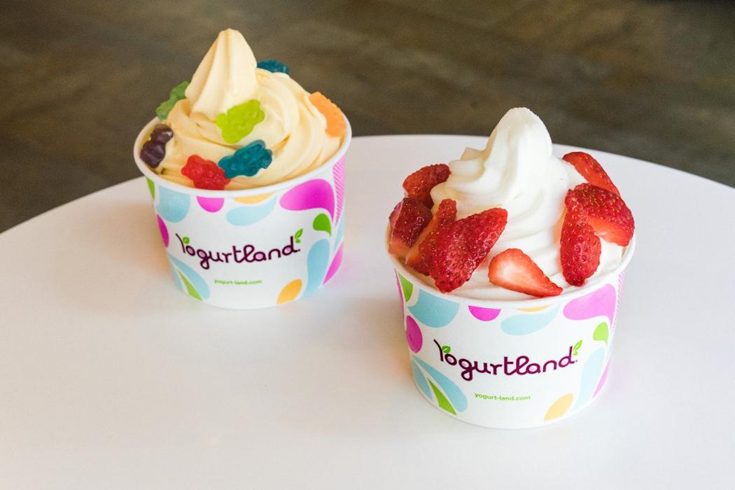 Yogurtland The Village at Orange - Orange, CA