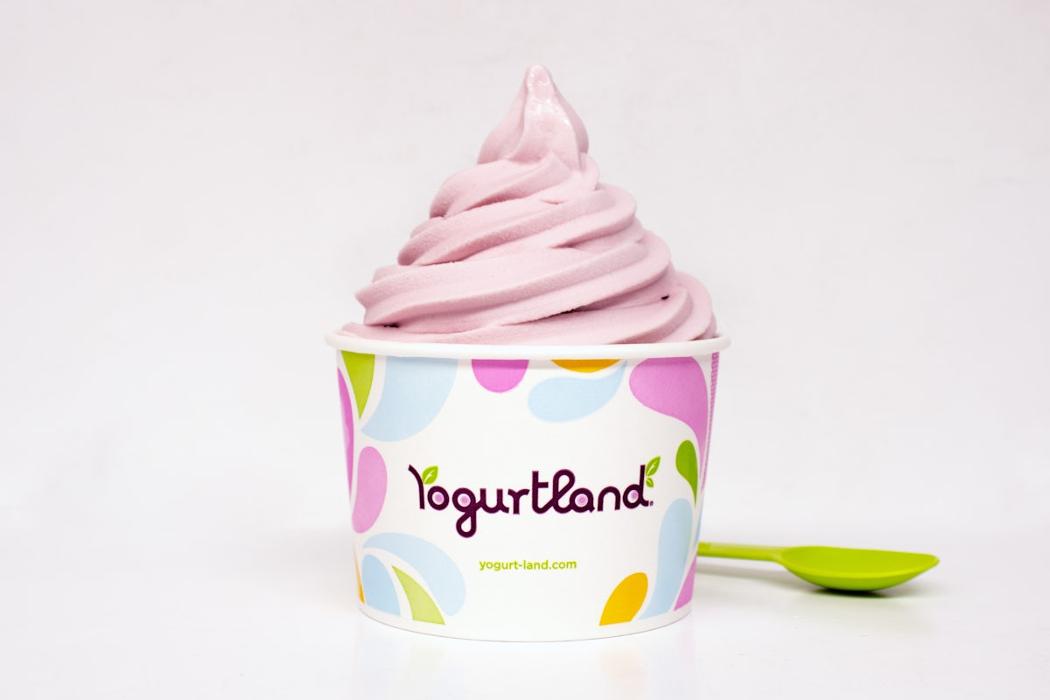 Yogurtland Manhattan Beach - Manhattan Beach, CA
