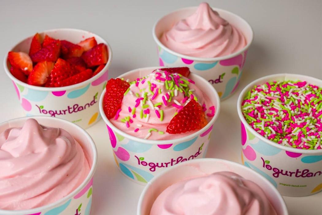 Yogurtland Mountain View - Mountain View, CA