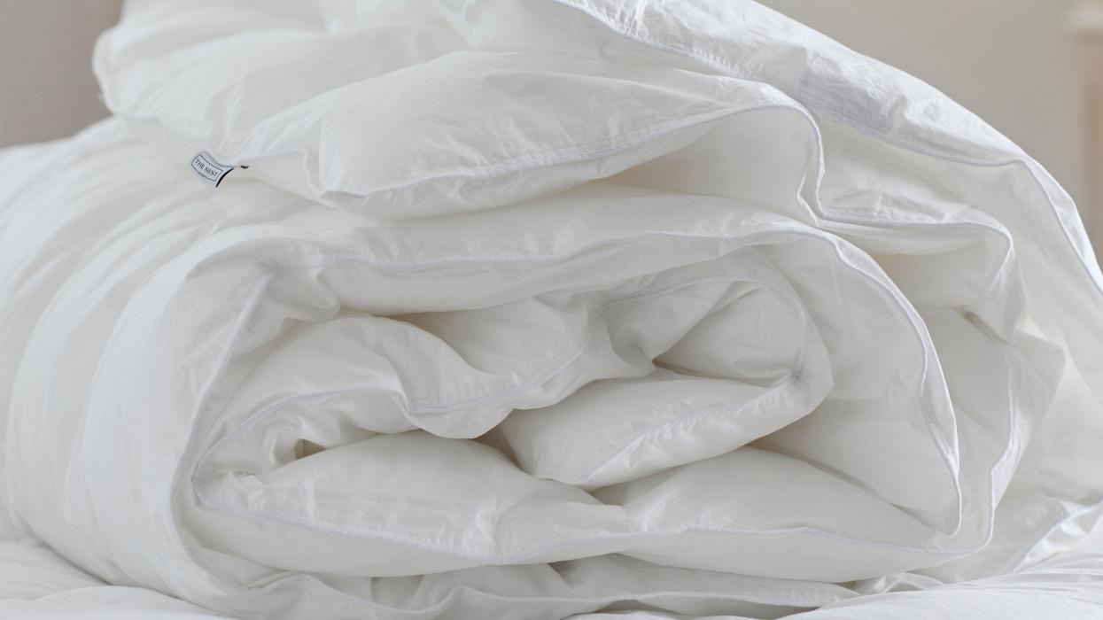 The Nest Company, Sophienstraße in Berlin