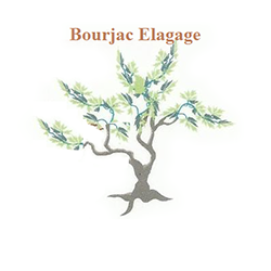 BOURJAC ELAGAGE paysagiste conseil