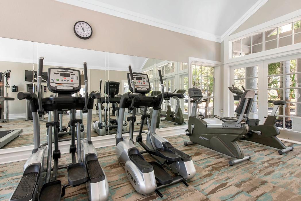 Radius Palms - Tampa, FL