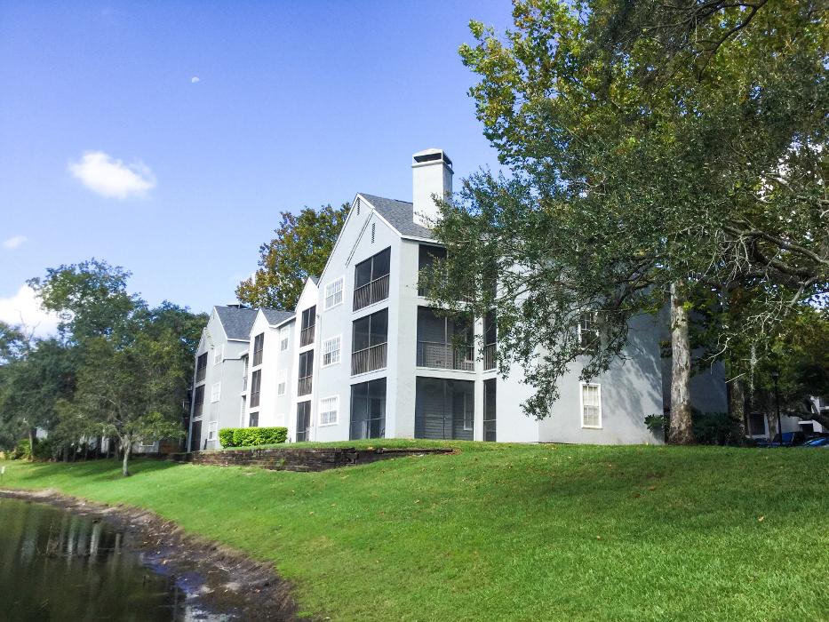 Radius Palms - Tampa, FL