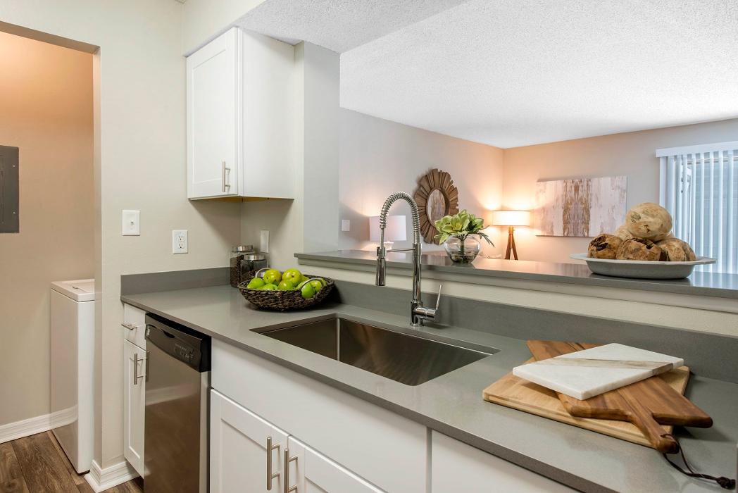 Radius Palms - Tampa, FL