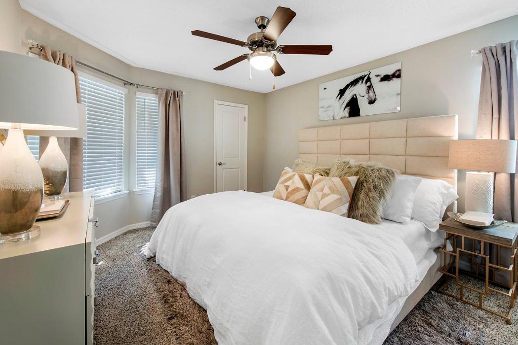 Radius Palms - Tampa, FL