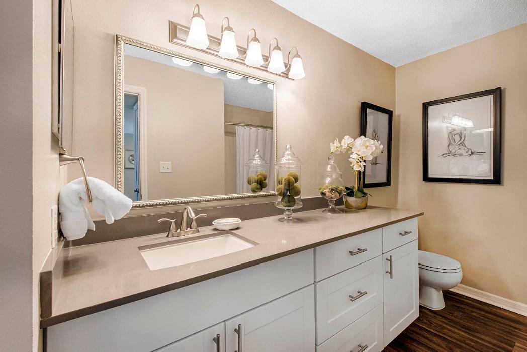 Radius Palms - Tampa, FL