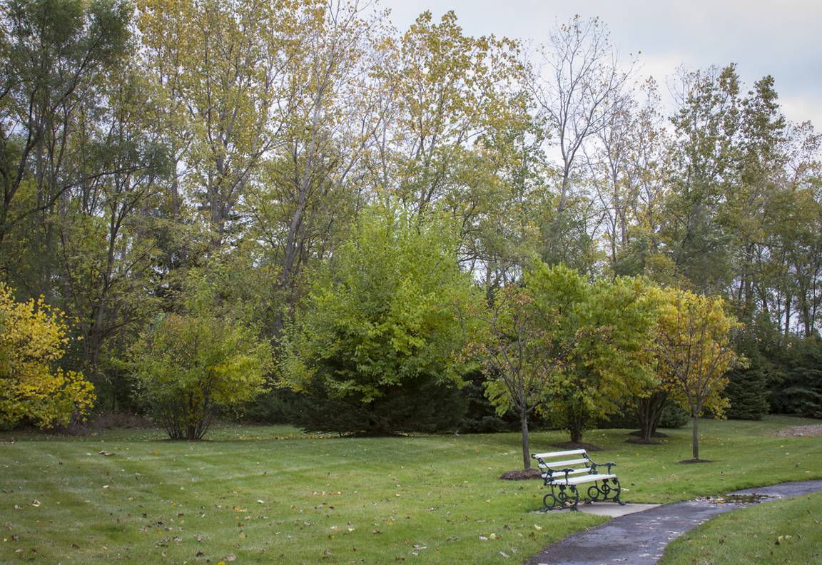 Brighton Gardens of Northville