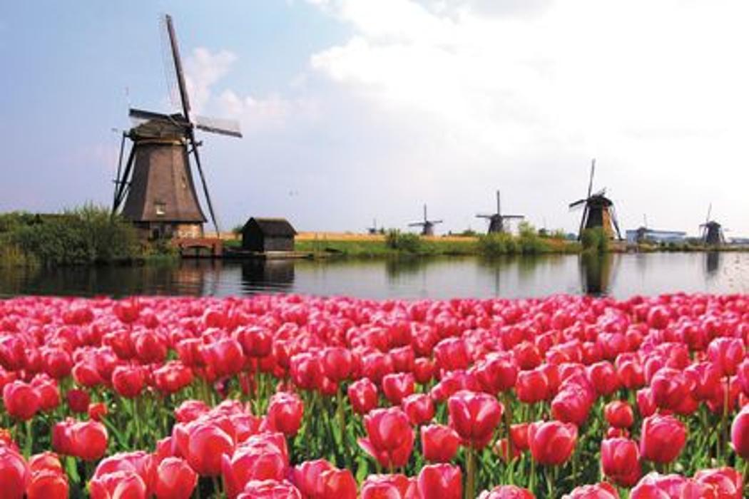 Cruise Planners - Connie Choquette - Minden, NE