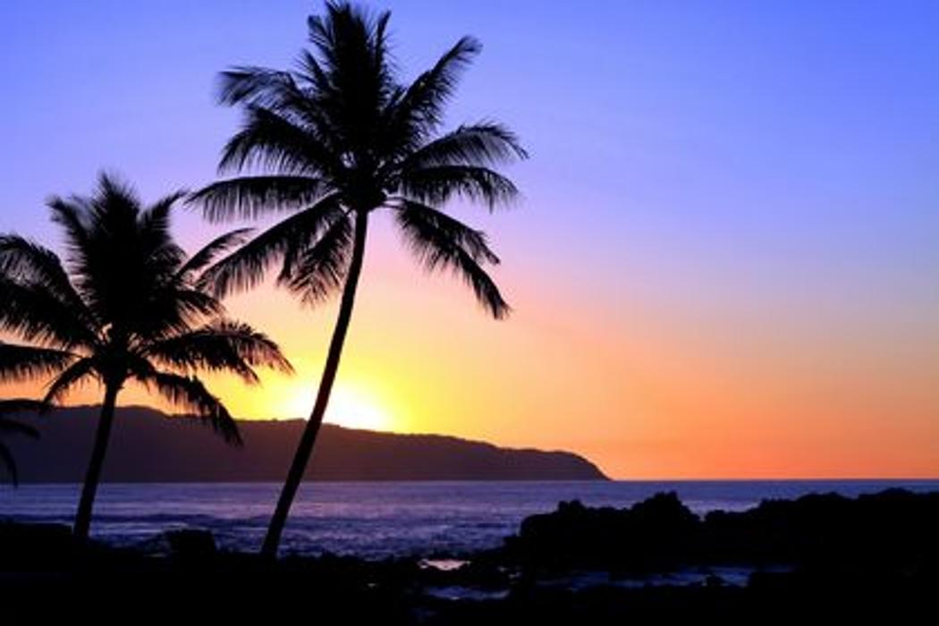 Cruise Planners - Travel By Coco - Watsonville, CA