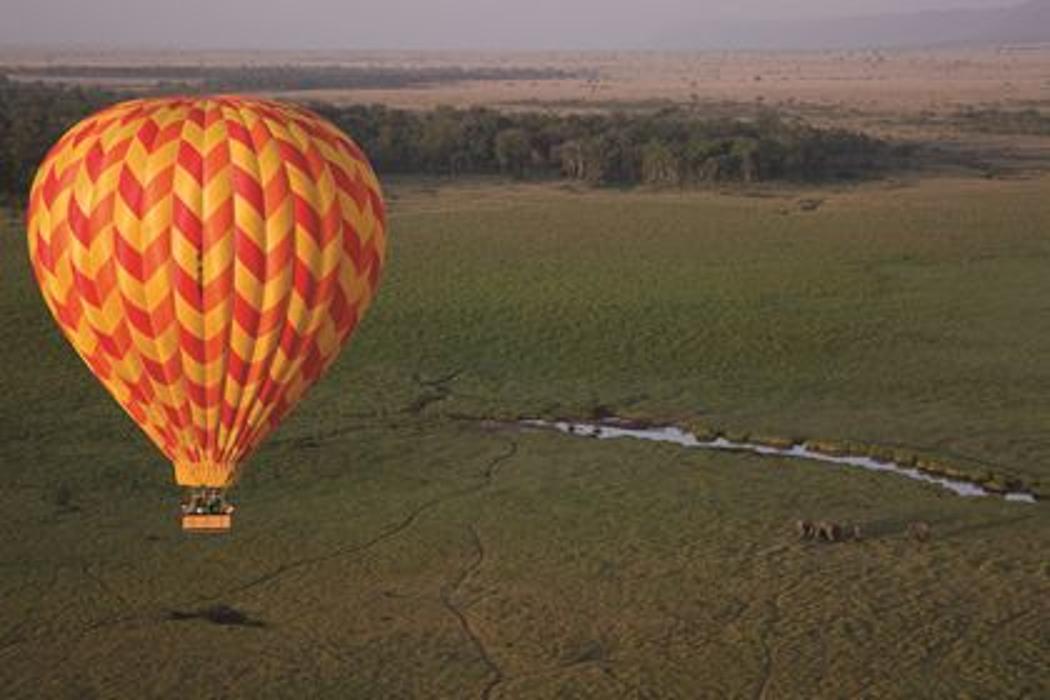 Cruise Planners - Travel By Coco - Watsonville, CA