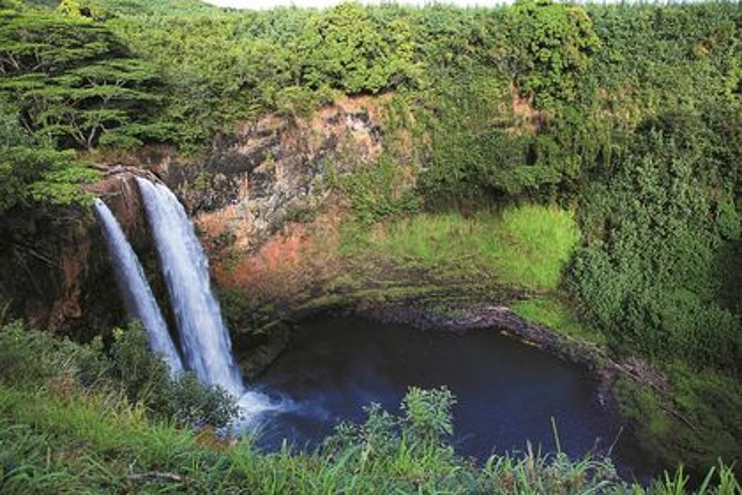 Cruise Planners - TampaCruisePlanners.com - Tampa, FL