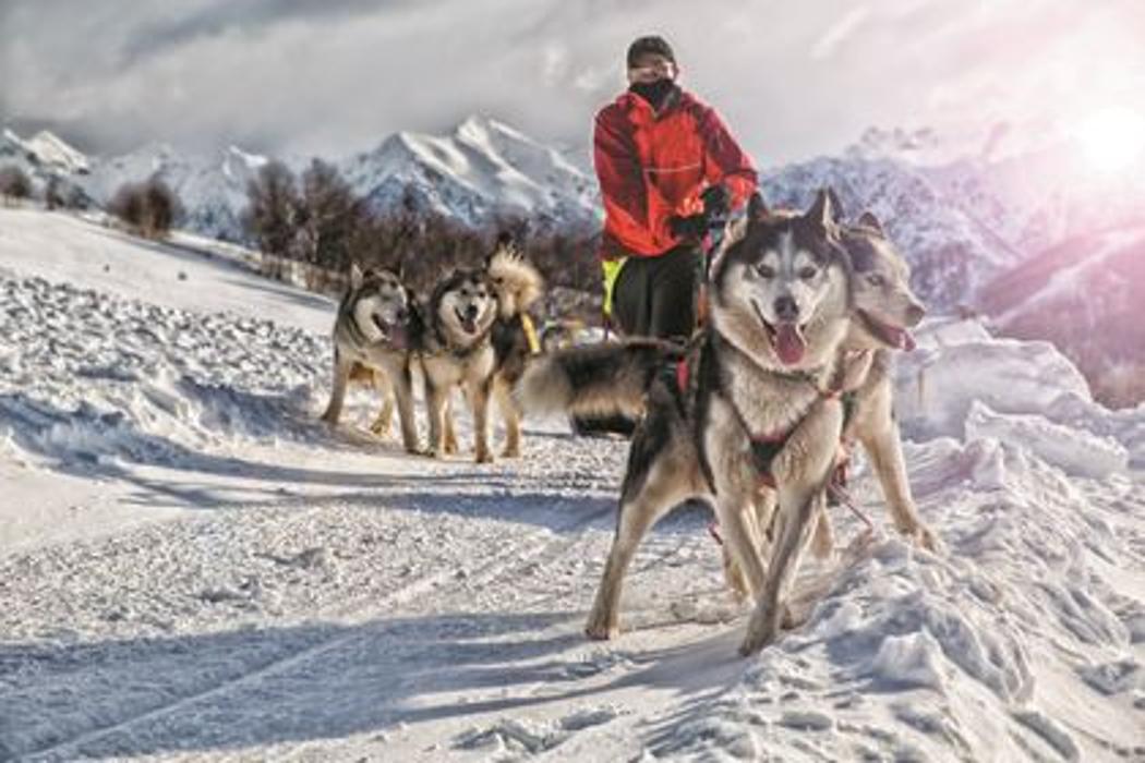 Cruise Planners - TampaCruisePlanners.com - Tampa, FL